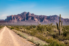Trail To Superstition Mountain