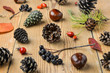 Cones, leaves and autumn fruits on wooden boards. Autumn still life with pine cones. Chestnuts and berries of bushes. Cones of different trees on a wooden table.