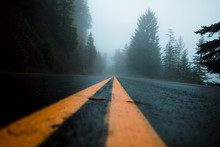 A Remote Road Leading Though The Dense Forest Fog Of The Olympic National Park In Washington State On A Cool Morning
