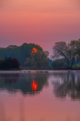 Wall Mural - Sunrise on a lake with geese.