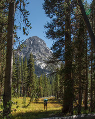 Wall Mural - View from John Muir Trail