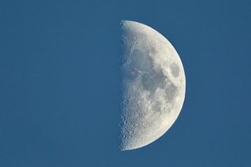 Wall Mural - moon first quarter detailed closeup