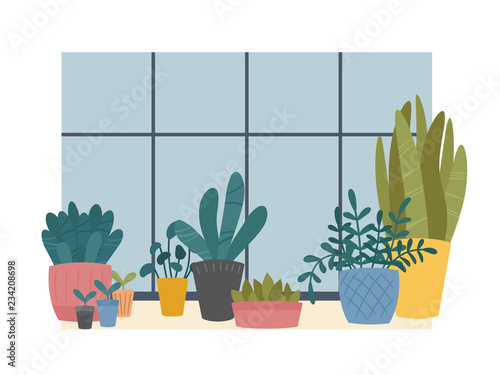 Indoor Home Plants In Pots Composition Standing On Windowsill