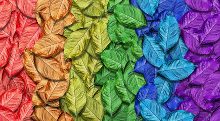 Colors of rainbow. Multicolored fallen autumn leaves texture background. Abstract pattern of bright leaves.