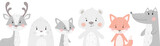 Fototapeta Fototapety na ścianę do pokoju dziecięcego - Reindeer, raccoon, seal, wolf, penguin, bear, fox baby winter set. Cute animal illustration