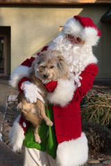  Santa is playing with a dog. Santa Claus feeds dogs.