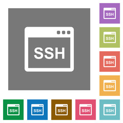 Poster - SSH client application square flat icons