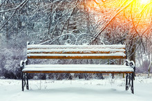 Park Bench And Trees Covered By Heavy Snow.