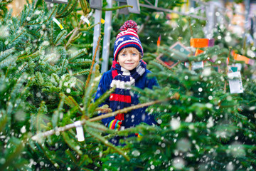 Wall Mural - Adorable little smiling kid boy holding Christmas tree on market. Happy healthy child in winter fashion clothes choosing and buying big Xmas tree in outdoor shop. Family, tradition, celebration.