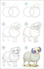 Wall Mural - page shows how to learn step by step to draw a cute domestic male sheep. developing children skills 