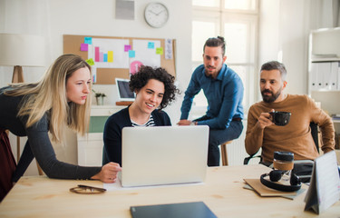 Wall Mural - Group of young businesspeople with laptop having meeting in a modern office.