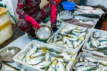 Wall Mural - Street Vendor in Cat Ba Island, Vietnam traditional fish market people selling fresh fish on the sidewalk.