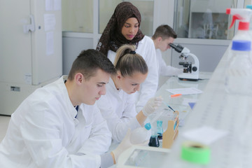 Wall Mural - Group of multiethnic Laboratory scientists working at lab with test tubes, test or research in clinical laboratory.Science, chemistry, biology, medicine and people concept.