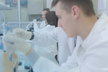 Wall Mural - Group of multiethnic Laboratory scientists working at lab with test tubes, test or research in clinical laboratory.Science, chemistry, biology, medicine and people concept.