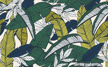 Seamless Tropical Pattern With Banana Leaves. Hand Drawn
