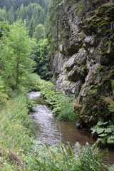 Wall Mural - Steinachklamm