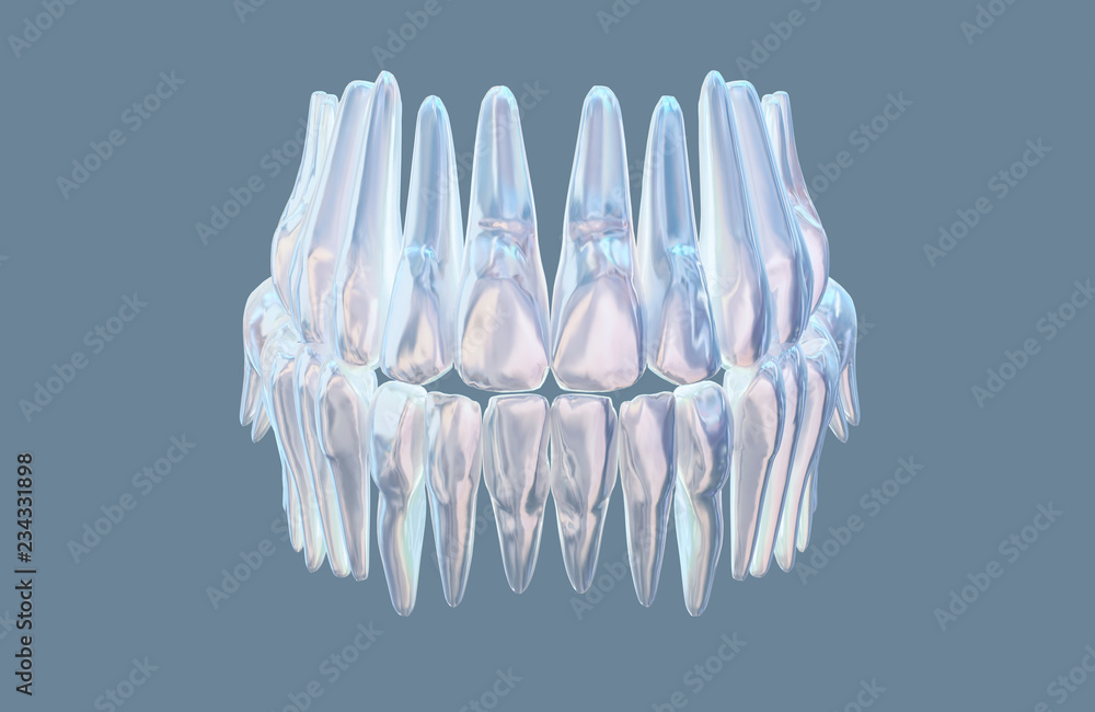 Human jaw with teeth anatomy model medical illustration isolated on ...