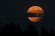 full orange moon in the sky with a cloud