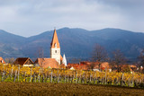 Fototapeta Góry - Weissenkirchen. Wachau valley. Lower Austria. Autumn colored leaves and vineyards on a sunny day.