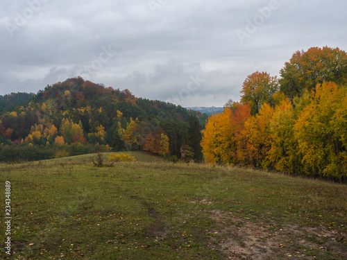 Green Meadow With Autumn Colorful Beech Forest And Trees And
