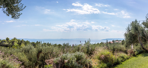 Wall Mural - Mediterranean sea seascape in Croatia