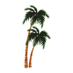 Poster - Tree palms isolated