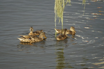 Wasserwelten