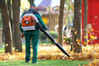 Working in the Park removes autumn leaves with a blower
