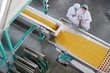 © Seventyfour - Above view portrait of two factory workers standing by conveyor belt during quality inspection at food production at macaroni plant, copy space
