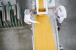 © Seventyfour - Top view background of two factory workers standing by conveyor belt during quality inspection at food production, copy space