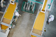 © Seventyfour - Above view background of two factory workers standing by conveyor belts during quality inspection at food production, copy space