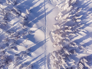 Wall Mural - Aerial drone view winter mountains forest and road.