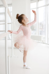 Little ballerina girl in a pink tutu. Adorable child dancing classical ballet in a white studio. Children dance. Kids performing. Young gifted dancer in a class. Preschool kid taking art lessons
