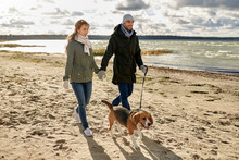 Pet, Domestic Animal And People Concept - Happy Couple Walking With Beagle Dog On Leash Along Autumn Beach