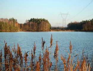 Wall Mural - landscape with lake, trees and energy pylons