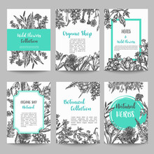 Set Of Card With Hand Drawn Herbs And Wild Flowers Vintage Collection Of Plants Floral Wedding Invitation Vector Illustrations In Sketch