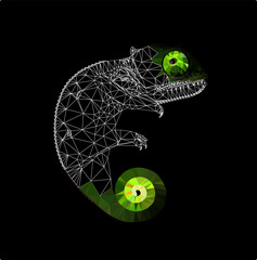 Low poly chameleon on black background, vector illustration EPS 10 isolated.  Polygonal style and wireframe trendy modern logo design. Suitable for printing on a t-shirt.