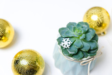 Succulent Planted In Pot With Christmas Decoration Shine Golden Balls On The White Background. Flat Lay Composition With Copy Space