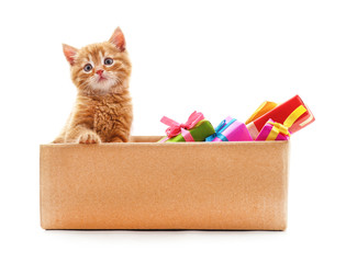 Canvas Print - Little cat in the box with gifts.