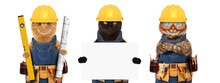 Funny Cats Are Wearing A Suit Of Builder And Holding A Builder's Level And Project Plan. Craftsman On The White Background.