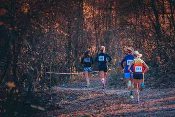 Wall Mural - Group of professional cross country female athletes running in competition in autumn nature. Sport or orienteering run concept