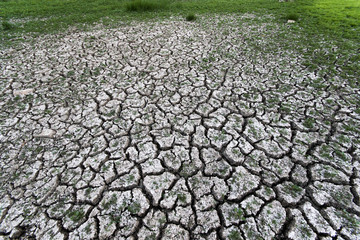 Drought land landscape panorama