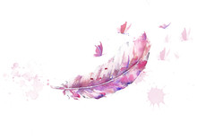 Watercolor Illustration Of Feather And Butterfly Pink