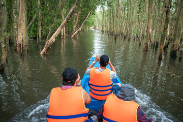 Wall Mural - Tourists taking photo of cajuput forest in floating water season from tourism boat in Mekong Delta, Can Tho, Vietnam