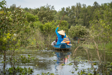 Wall Mural - Tourism rowing boat in cajuput forest in floating water season in Mekong delta, Vietnam