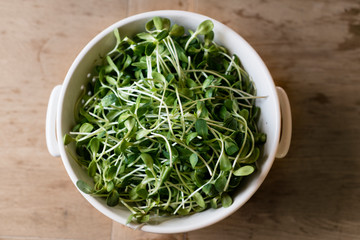 Poster - Sunflower sprouts in a white bowl