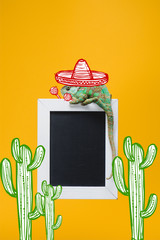 Wall Mural - beautiful colorful chameleon in sombrero hat with maracas on blackboard isolated on yellow with mexican cactuses