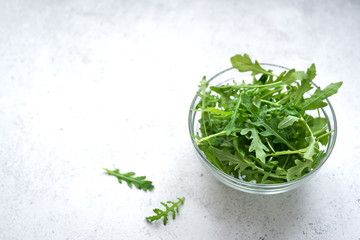 Wall Mural - Fresh Arugula Salad