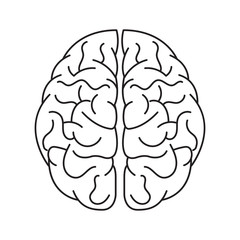 The human brain. Brain icon black.