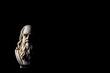© myper - Leonardo da vinci black background dramatic light